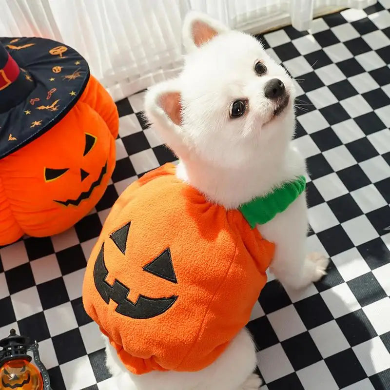 Pumpkin Doggie