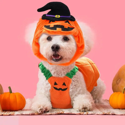 Pumpkin Doggie